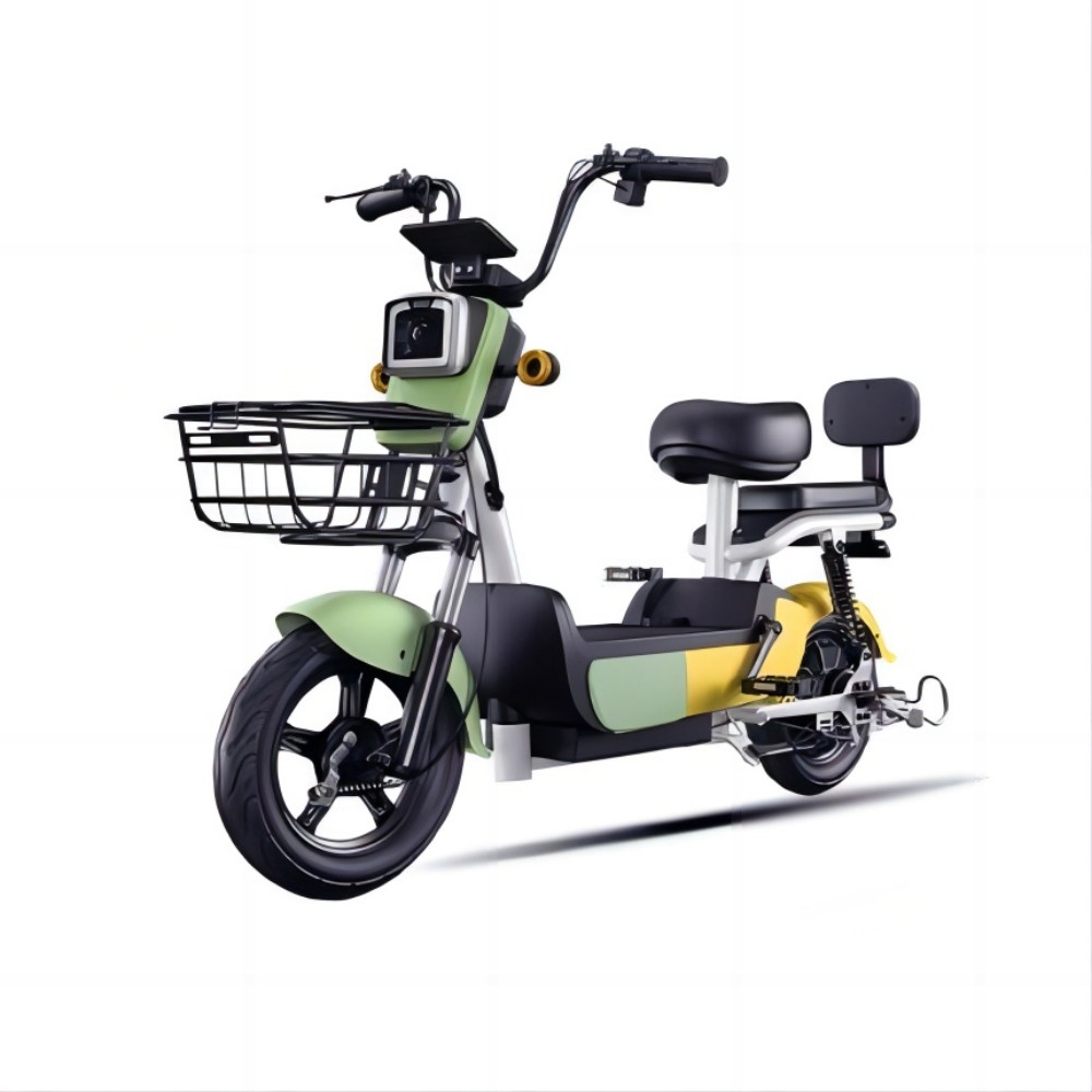 Rapid Development of Electric Bicycle Industry